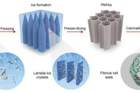 中國科學(xué)家研究團隊成功開發(fā)出一種耐火陶瓷納米纖維氣凝膠