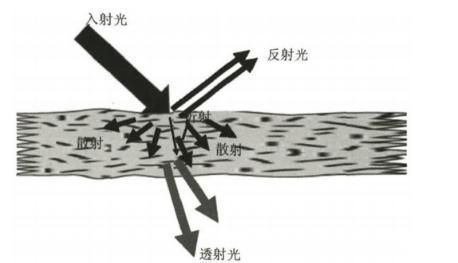 納米纖維素：透明紙基材料定義、分類、制備方法及應(yīng)用