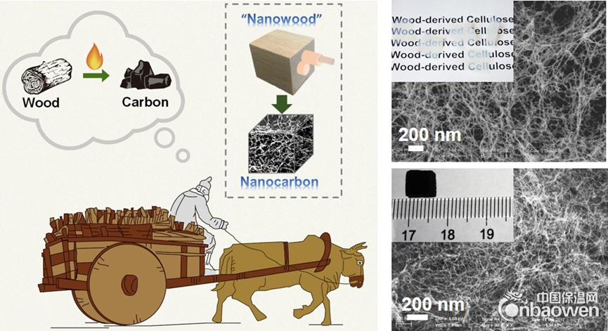 中國科大實現(xiàn)由木材制備超細碳納米纖維氣凝膠