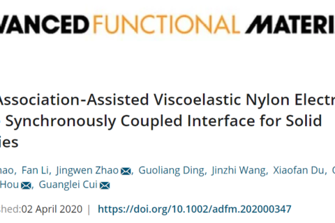 尼龍基高粘彈性聚合物固態(tài)電解質(zhì)！