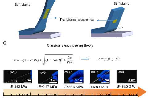 南方科技大學郭傳飛課題組在柔性電子轉移技術上取得進展