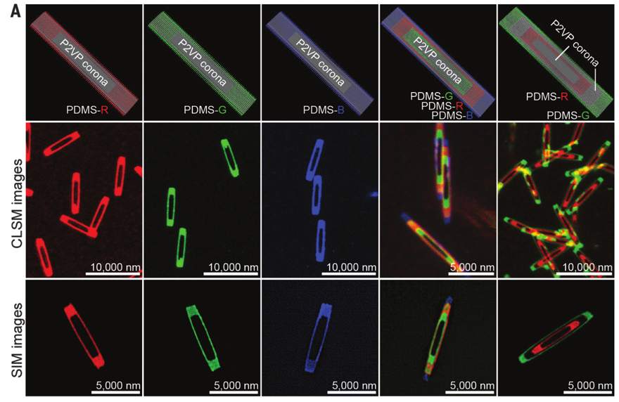 1個體系做了十余年，磨出5篇《Science》！這些膠束形貌美到令人窒息！