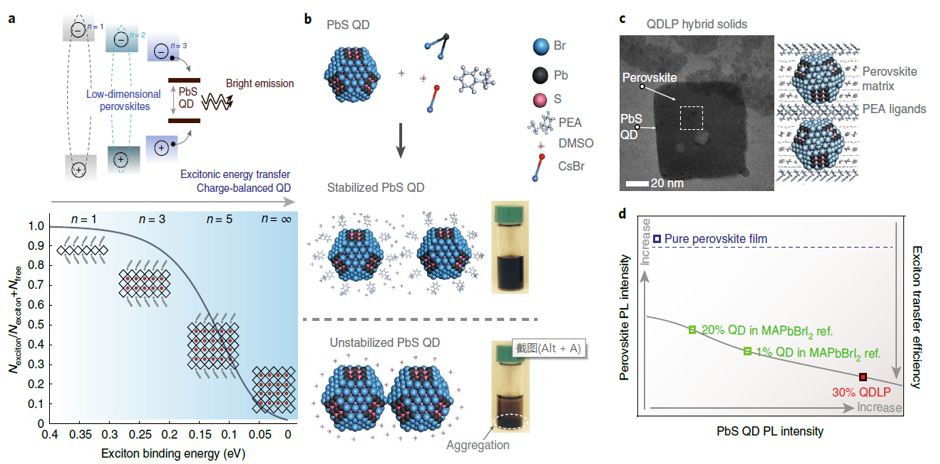 震撼！僅2個月，發(fā)表1篇Science，10余篇子刊/AM/JACS—加拿大兩院院士Sargent教授成果集錦