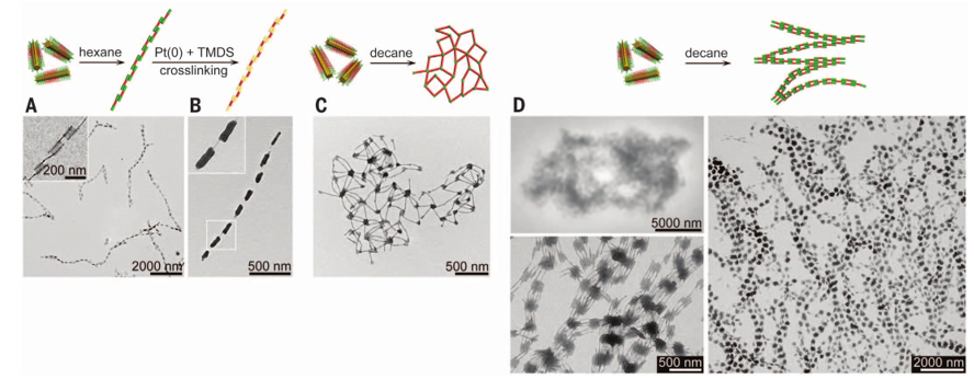 1個體系做了十余年，磨出5篇《Science》！這些膠束形貌美到令人窒息！