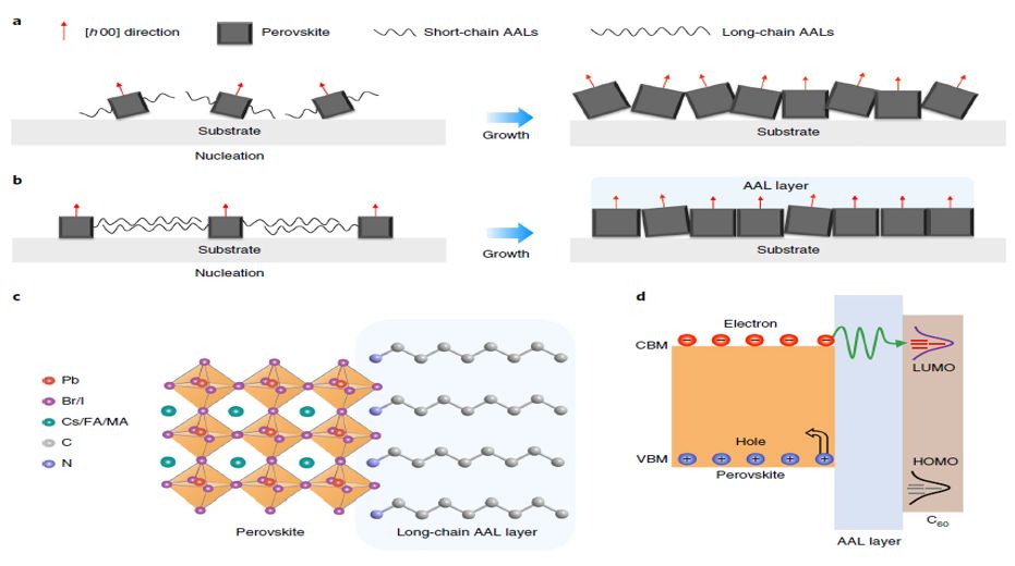 震撼！僅2個月，發(fā)表1篇Science，10余篇子刊/AM/JACS—加拿大兩院院士Sargent教授成果集錦