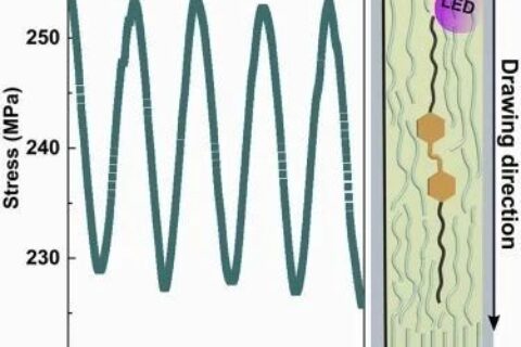 ?Matter最新研究：就這么簡單，柔性聚合物拉一拉就變剛性致動器