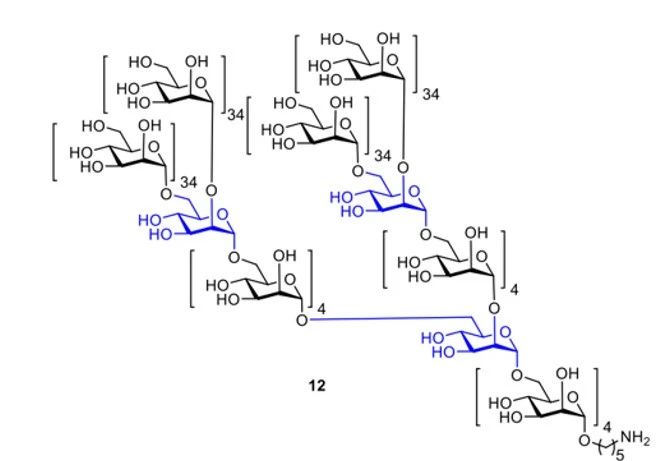《Nature》譽(yù)為“糖之父”的Seeberger打破世界紀(jì)錄，史上最長人工合成多糖！