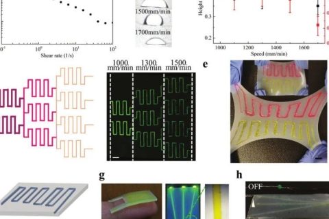 ?南方醫(yī)科大學魯峰團隊等《AFM》：相變蛋清水凝膠—朝著透明、無滯后的可穿戴電子產品發(fā)展