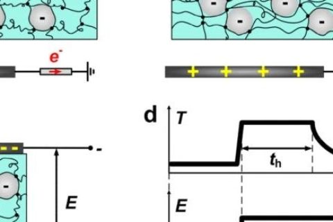 哈佛大學(xué)鎖志剛院士團(tuán)隊(duì)：用這種方法，可伸縮駐極體儲(chǔ)存電荷60天