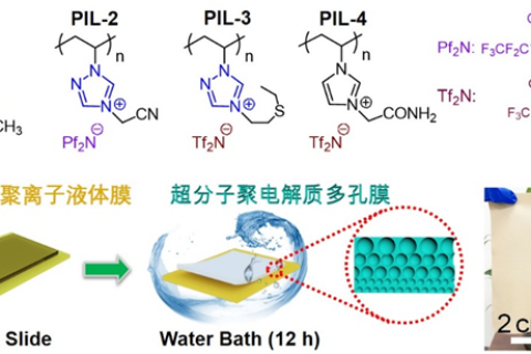 ?水作交聯(lián)劑？！南開大學(xué)王鴻團隊《Angew》：氫鍵誘導(dǎo)的多孔超分子膜