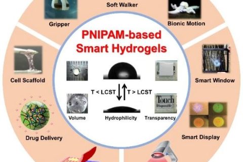 天津大學(xué)封偉教授團(tuán)隊在PMS上全面綜述PNIPAM基智能水凝膠