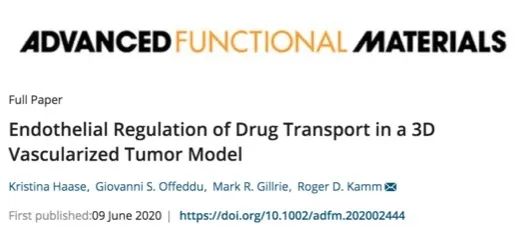 MIT《先進(jìn)功能材料》:3D血管化腫瘤芯片檢測腫瘤藥物輸送