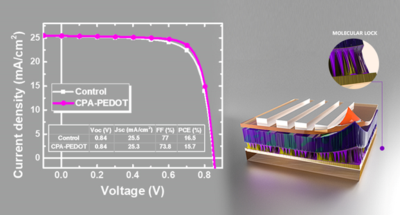 重慶大學(xué)孫寬/中科院重慶研究院陸仕榮：給有機光伏電池界面加把分子鎖