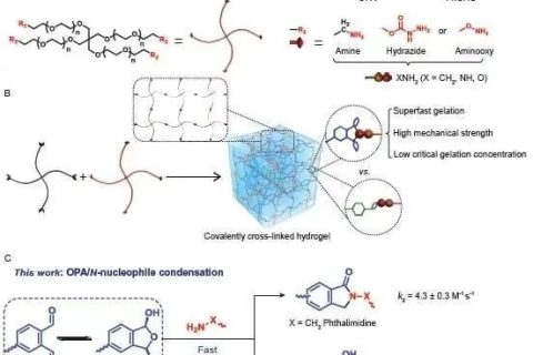 陳學(xué)思院士團(tuán)隊(duì)：固含低至1%！超快制備高強(qiáng)度可降解水凝膠