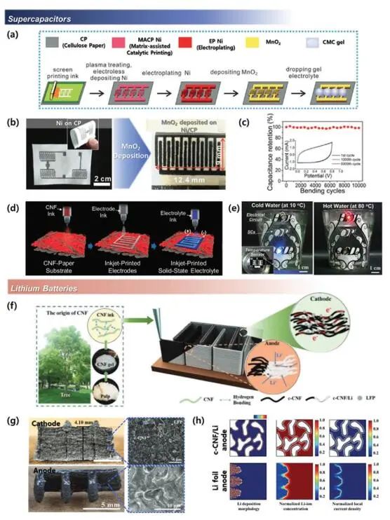 《先進(jìn)材料》綜述：為什么要用纖維素？纖維素基電化學(xué)儲(chǔ)能器件的優(yōu)勢何在？