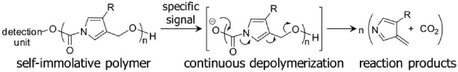 《JACS》： 像解拉鏈一樣輕松，聚合物30分鐘解聚為小分子