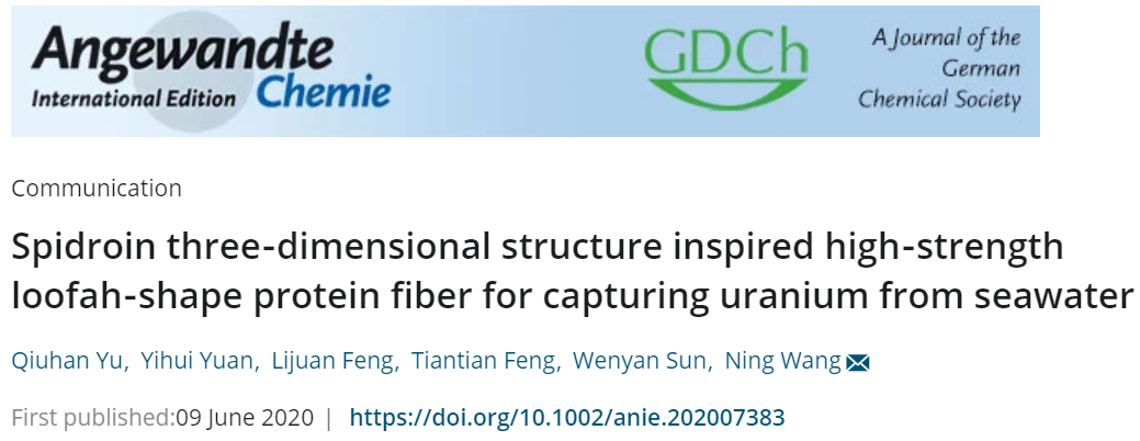 海南大學《德國應化》：海水提鈾取得新突破！蛛絲啟發(fā)的高強度絲瓜狀蛋白纖維，可從海水中捕獲鈾