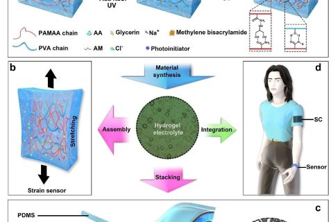 ?《Mater.Horiz.》：基于高性能離子油凝膠電解質的集成可穿戴自供能柔性傳感系統(tǒng)