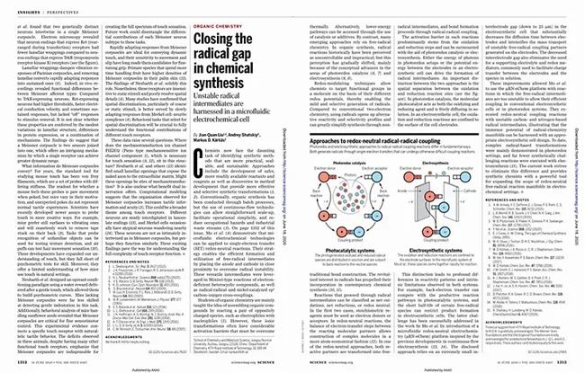 了不起！90后副教授在《science》上發(fā)表評述論文