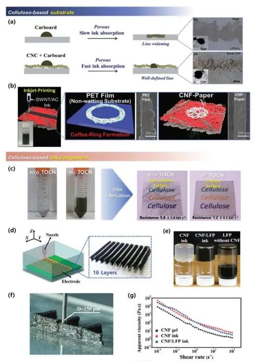 《先進(jìn)材料》綜述：為什么要用纖維素？纖維素基電化學(xué)儲(chǔ)能器件的優(yōu)勢何在？