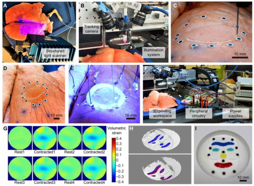 《Science》子刊：在活體器官上原位3D打印可變形水凝膠傳感器！