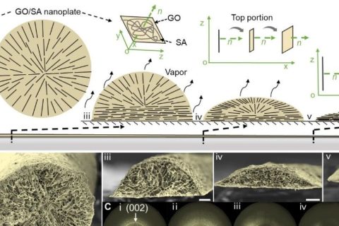 清華大學(xué)張瑩瑩課題組《PNAS》：3D打印制備超可拉伸離子神經(jīng)電極