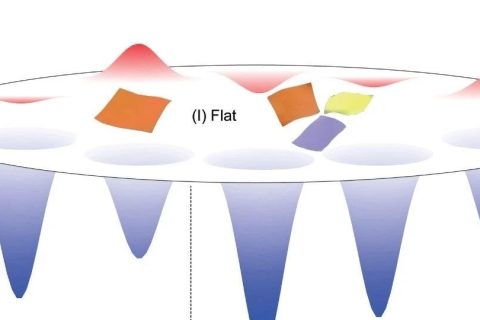 浙江大學(xué)許震、高超與清華大學(xué)徐志平合作《Matter》：?jiǎn)螌友趸┠Ｐ完U明二維大分子溶液構(gòu)象之謎