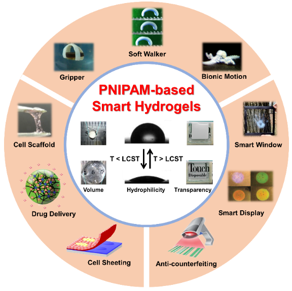天津大學(xué)封偉教授團(tuán)隊(duì)在PMS上全面綜述PNIPAM基智能水凝膠