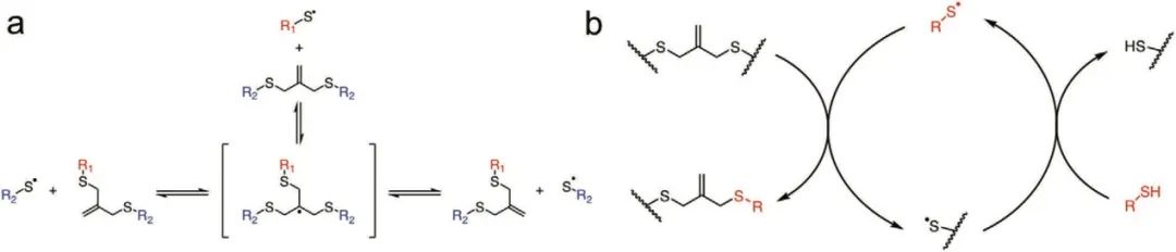 ?僅15秒！《AM》超快光降解生物水凝膠支架用于類器官傳代