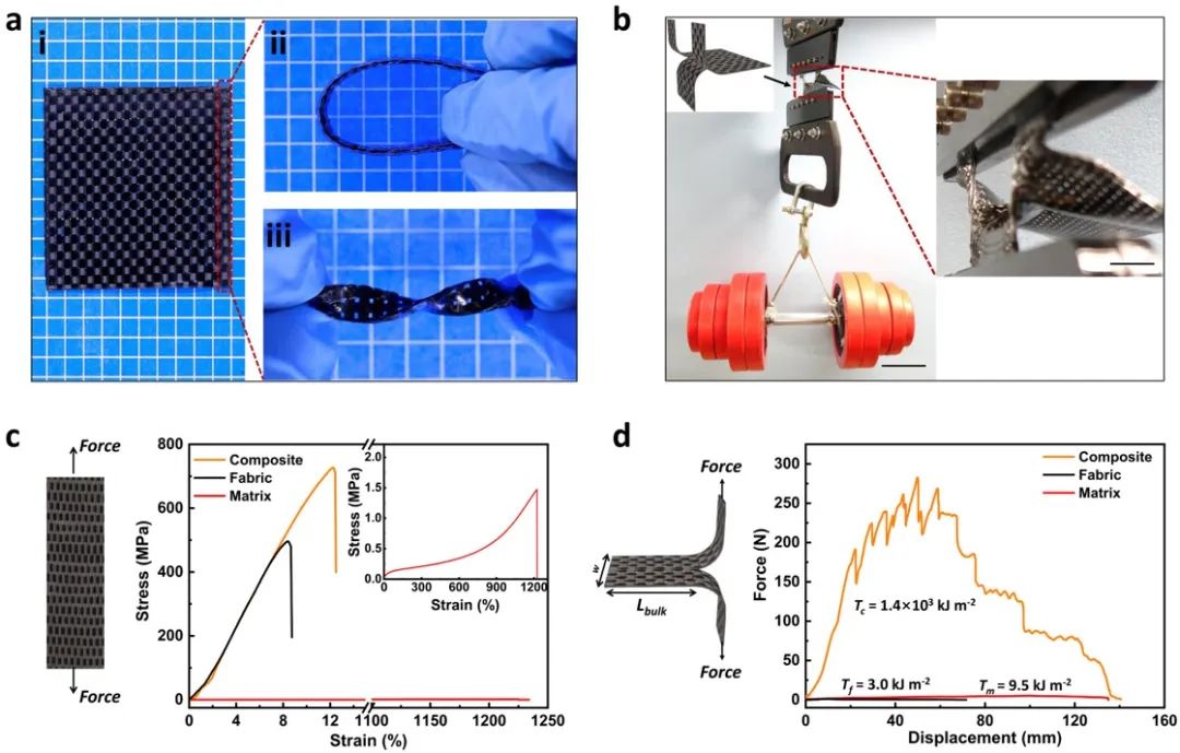 龔劍萍團隊《AM》：超越金屬！史上最韌軟復(fù)合材料