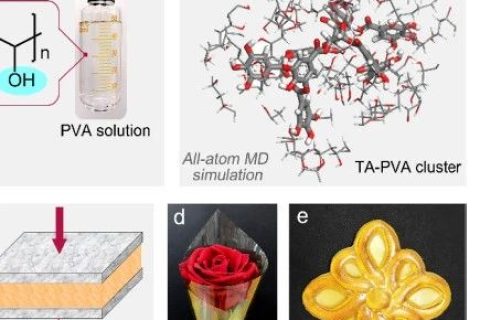 超越天然蛛絲！超高強(qiáng)度、極高韌性的超分子聚合物材料