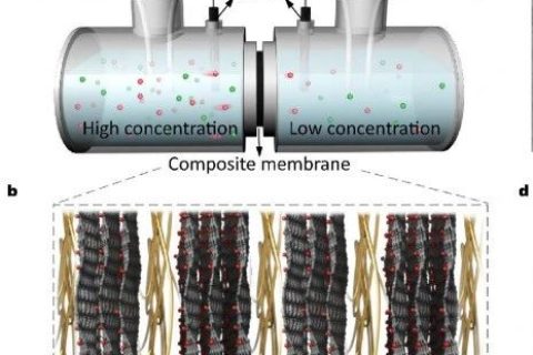 中科院理化所聞利平《ACS Nano》：仿生蠶絲交聯(lián)復合膜實現(xiàn)高效滲透能收集