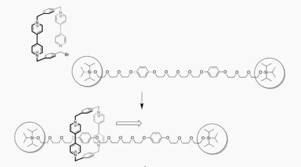 諾貝爾化學(xué)獎(jiǎng)得主斯托達(dá)特：中國青年科學(xué)家太在乎發(fā)論文了