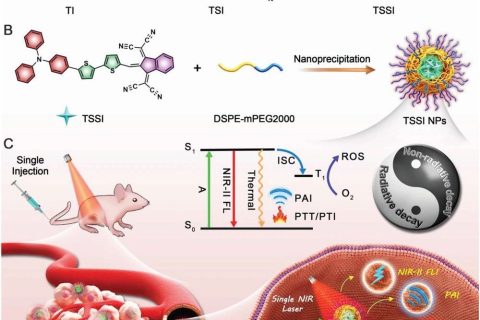 單一AIE分子的全能光療劑，實現FLI‐PAI‐PTI三模成像與PDT–PTT協(xié)同治療