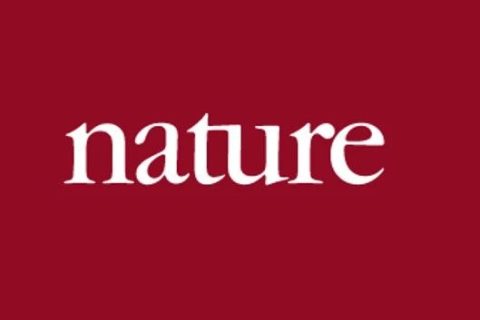 《Nature》子刊：注射這種光敏性聚合物納米粒子，成功恢復(fù)盲鼠視力