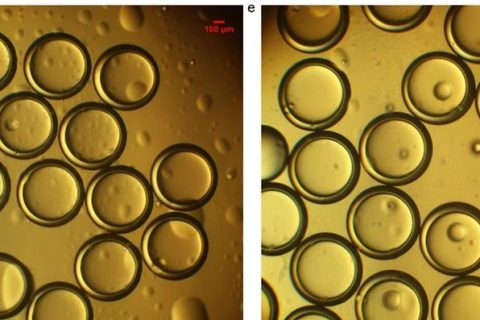 《Journal of Food Engineering》：利用微納微尺度3D打印技術(shù)制備微流控液滴生成芯片