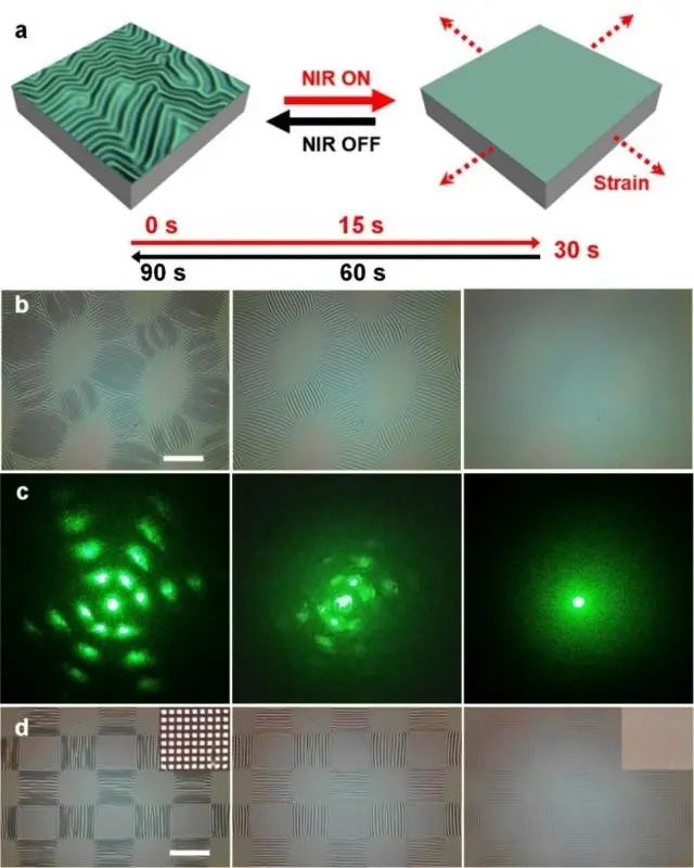 上海交大姜學松、張文明合作：揭示可編程二維表面褶皺圖案調(diào)控力學機制