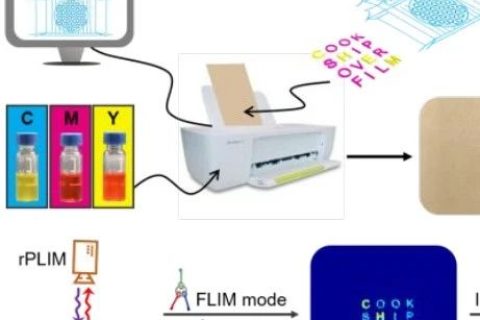 復(fù)旦大學(xué)王旭東《JACS》：三級加密！新一代發(fā)光防偽技術(shù)！