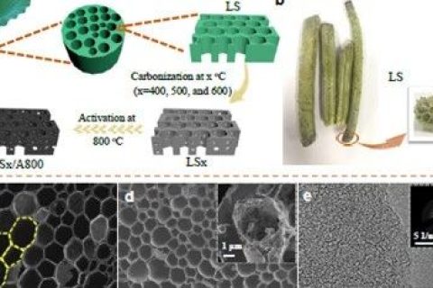 北航相艷課題組：可大規(guī)模生產(chǎn)的具有三級孔結(jié)構(gòu)的三維碳框架應用于超級電容器和電容去離子