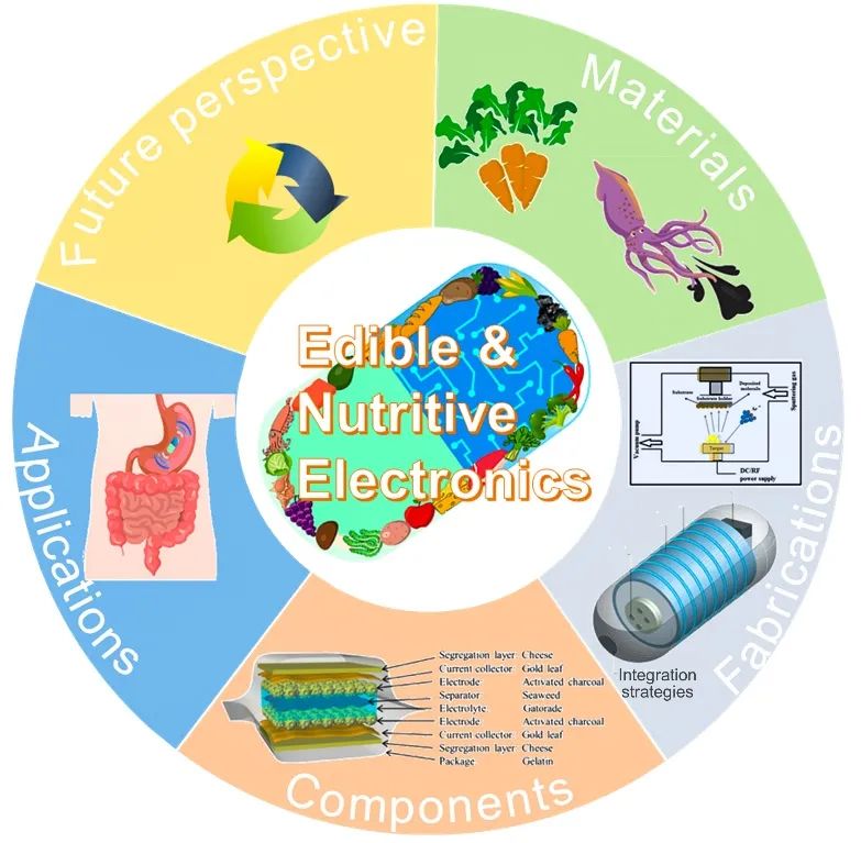 五邑大學巫瑩柱副教授與亞利桑那州立大學姜漢卿教授綜述：可食用、有營養(yǎng)電子器件：材料、制備方法、器件和應用