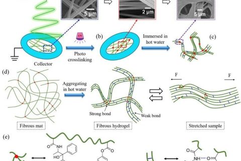 微納米纖維“邂逅”溫敏水凝膠，實現(xiàn)水下超快自恢復(fù)性能