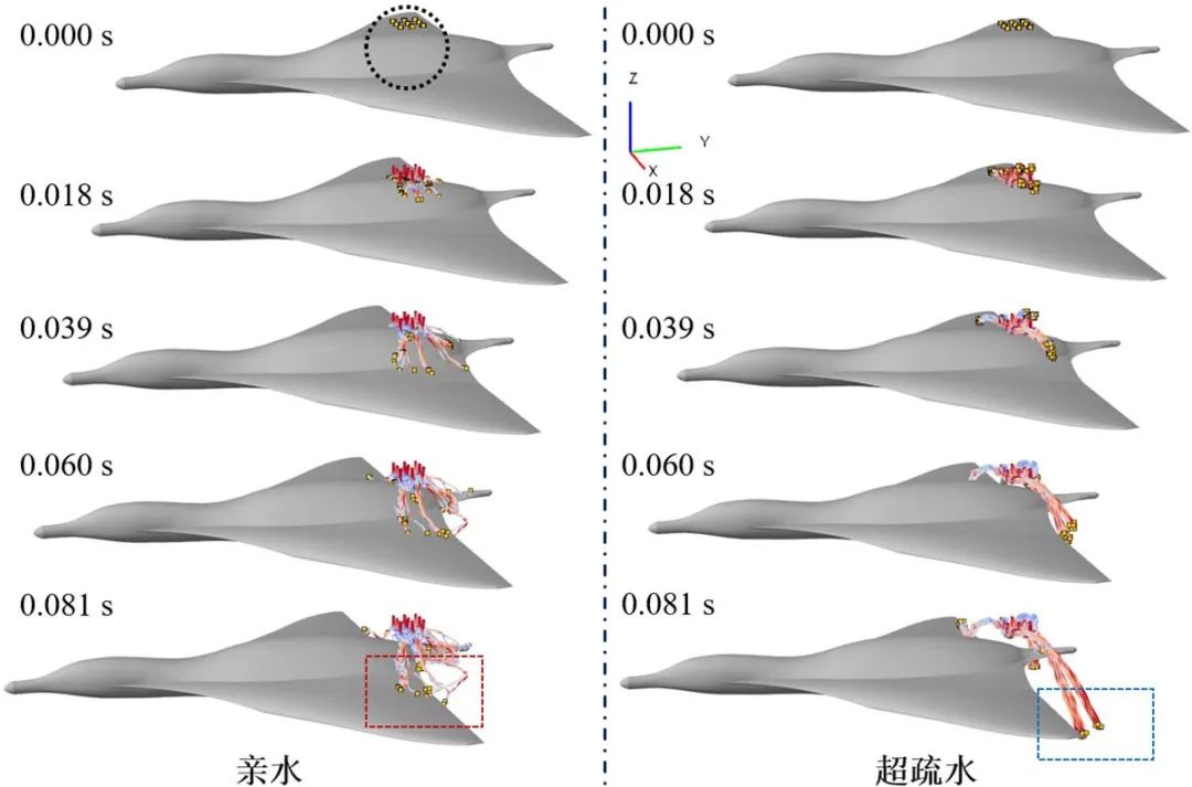 吉林大學(xué)任露泉院士團(tuán)隊：跨介質(zhì)飛行器仿生基礎(chǔ)理論研究——利用移動各向異性超疏水表面誘導(dǎo)液滴定向翻滾實(shí)現(xiàn)附著水高效脫附