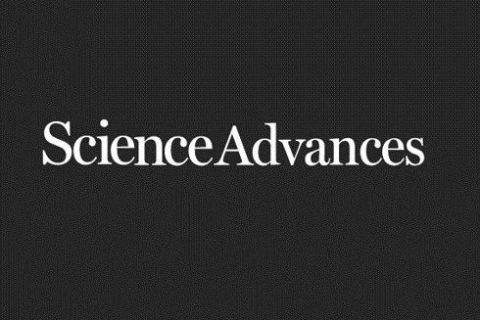 《Science Advances》：仿松針多級非對稱結(jié)構(gòu)超疏水表面多尺度液滴定向輸運