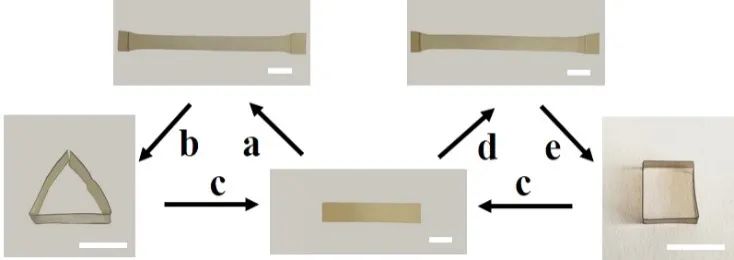 浙江大學(xué)計(jì)劍、沈介澤：透過現(xiàn)象用本質(zhì)！一種受高分子粘彈性啟發(fā)的形變策略