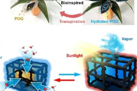 寧波材料所陳濤團隊《Angew》：受鐵蘭啟發(fā)的仿生有機凝膠進行大氣水分收集！