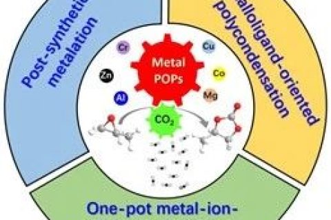 廣東工業(yè)大學《JMCA》綜述：具有可達性的金屬基多孔有機聚合物催化轉(zhuǎn)化 CO2 合成環(huán)狀碳酸酯