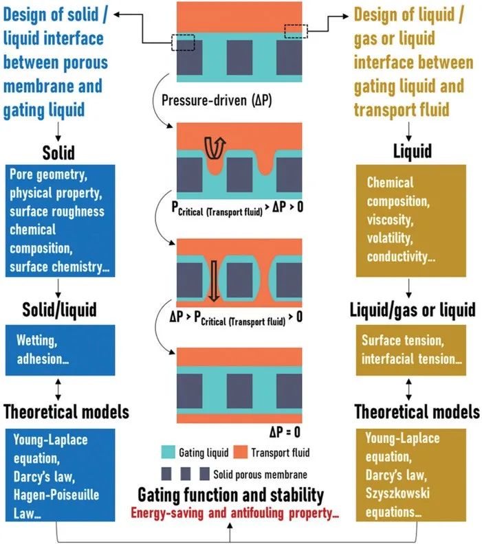 廈門大學侯旭課題組綜述：液基多孔膜，微納孔道藏世界，液體門控通乾坤！