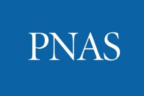 大連理工大學呂小兵教授團隊《PNAS》：在手性聚酯創(chuàng)制領域取得重要進展