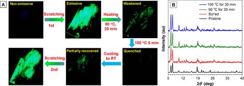 唐本忠院士團隊《JACS》：控制AIEgen晶體的分子運動，實現(xiàn)力致發(fā)光