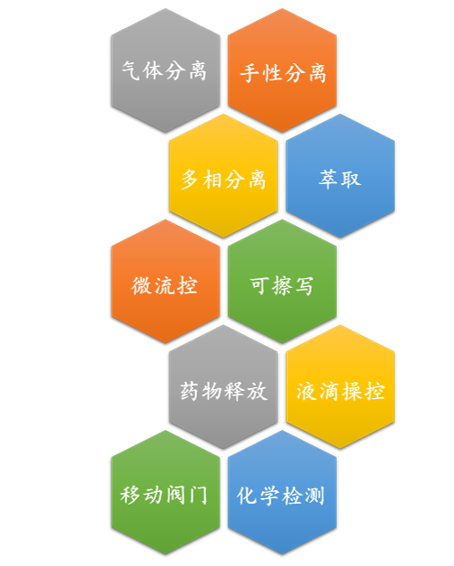 廈門大學侯旭課題組綜述：液基多孔膜，微納孔道藏世界，液體門控通乾坤！